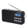 Radio i budzik TechniSat CLASSIC 110